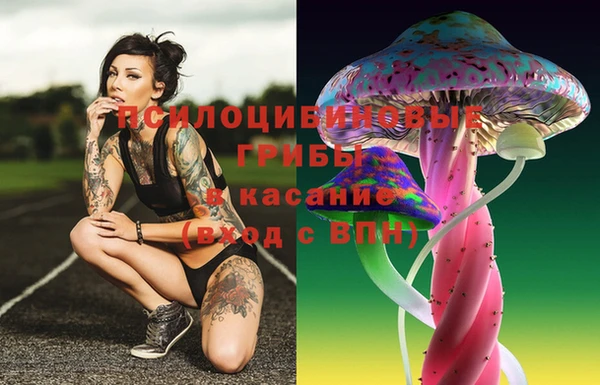 соль курить ск Нязепетровск