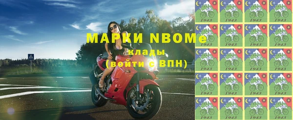 индика Нягань