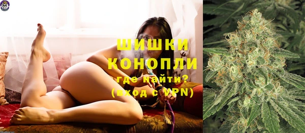 спайс Няндома
