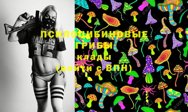 прущая мука Новодвинск