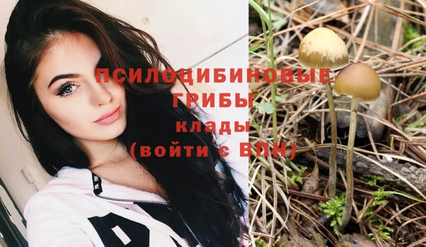спайс Няндома