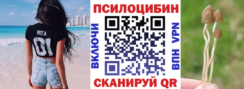 Галлюциногенные грибы прущие грибы мега маркетплейс Тотьма